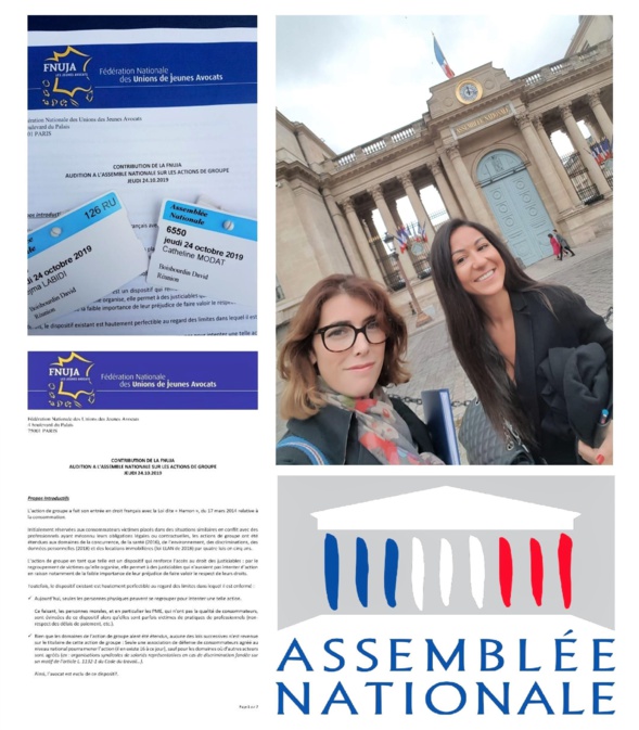 Audition à l'Assemblée Nationale de la FNUJA "action groupe"