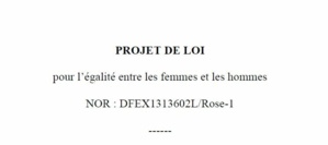 Protection des parents collaborateurs et égalité professionnelle : les Jeunes Avocats entendus !